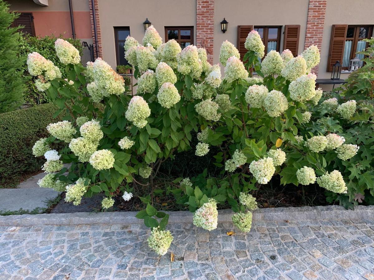 Agriturismo Sarmore Salmore Экстерьер фото